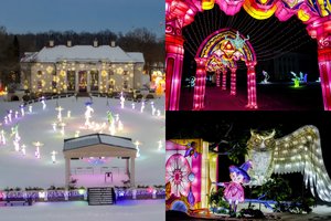 Pakruojo dvaro teritorijoje – šviesų festivalis be žiūrovų: stebisi, kodėl neleidžiama aplankyti parko