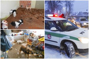 Pareigūnai Pasvalio rajone paėmė per pusšimtį netinkamai laikomų šunų ir kačių