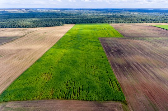Tiksliosios žemdirbystės įrankis: laukai prižiūrimi neišeinant iš namų