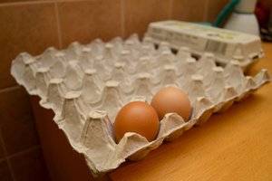 Stipriai smuko kiaušinių importas 