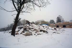 Paveldo sargai vėl ieško pasiteisinimų: Kaune su žeme sulyginta dar viena įspūdinga vila