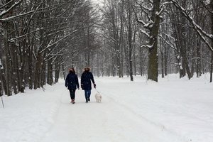 Valdžios siekis atplėšti sklypą nuo Ąžuolyno – žinomam kauniečiui sunkiai suvokiamas