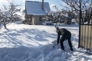 Pavasario ženklų dar nematyti: po šiltesnio sekmadienio vėl spustelės šaltis