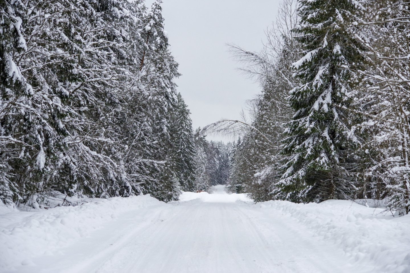Didžiojoje Lietuvos dalyje sninga ir pusto, todėl eismo sąlygos sudėtingos.<br>V.Ščiavinsko nuotr.
