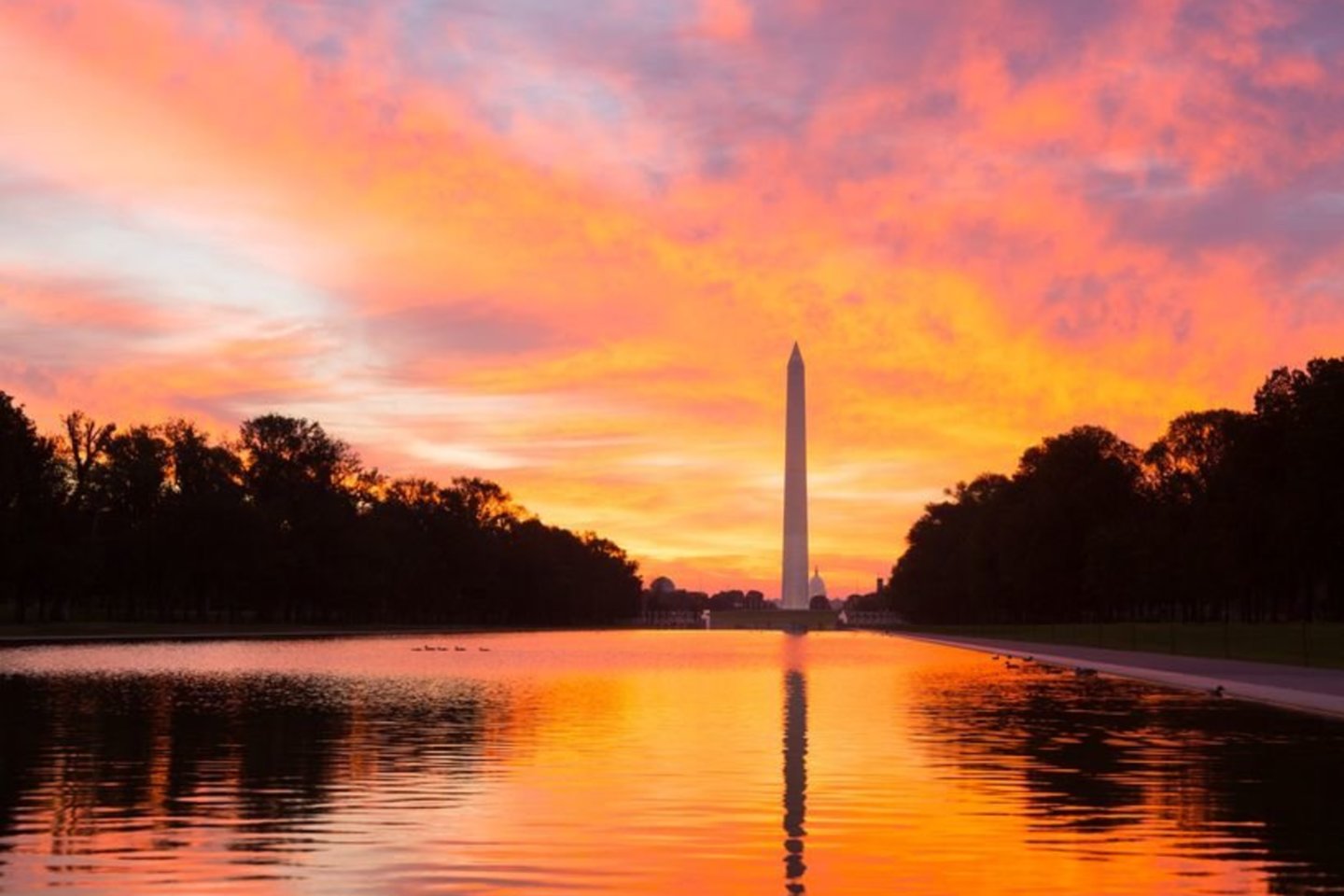 1885 m. JAV pirmojo prezidento George’o Washingtono gimtadienio išvakarėse Vašingtone pašventintas jo garbei pastatytas Washingtono monumentas.<br>123rf