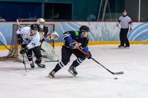 Ledo ritulio čempionato apžvalga: aiškios galutinės reguliariojo sezono pozicijos