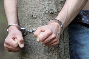 Keista istorija Karoliniškių miškelyje: jaunas vyras užpultas, pririštas prie medžio ir apiplėštas