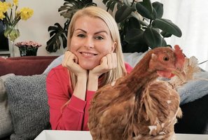 Rūtos Mikelkevičiūtės namuose prieglobstį rado ir skriaudžiama višta Lapė