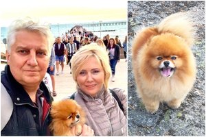 Žinomai šeimai teko išgyventi šuns dramą: mylima augintinė neišgyveno