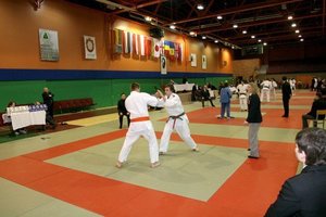 Sporto vadovai ambicijas ragina įrodinėti ant tatamio