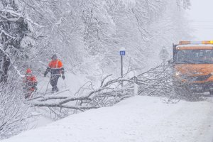 Elektros energetikos perdavimo tinklui atnaujinti numatė gerokai daugiau lėšų
