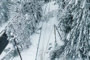 Valdžia pradangino pinigus kabeliams – kai sniego nebus, elektros laidus toliau plėšys vėjas       