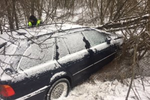 Telšių apylinkėse – BMW ir vilkiko kaktomuša: sužeista jauna pora, 23 metų merginą ištiko koma