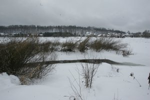 Potvynio nuojauta panerio gyventojus ragina pasirengti galimam pavojui