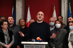 Gruzijoje suimtas pagrindinis opozicijos lyderis N. Melija