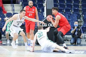 Danijoje – atodūsis: „Iki vienos didžiausių tarptautinio krepšinio sensacijų trūko milimetrų“