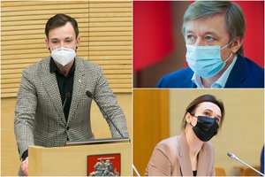 Parašų rinkimo prieš T. V. Raskevičių dramoje – V. Čmilytės-Nielsen kaltinimai R. Karbauskio šešėlinei Vyriausybei