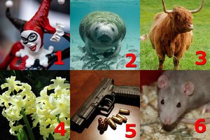 Testas: kas jums trukdo sukurti laimingus santykius?