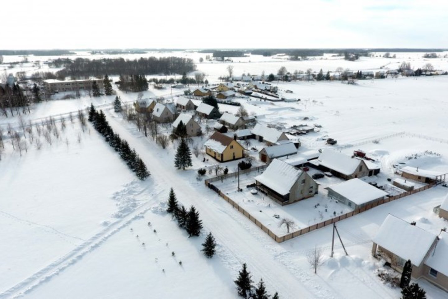 Šiandien Naiviai – nemažas, gražiai besitvarkantis kaimas su aktyvia vietos bendruomene ir draugiškais gyventojais.<br> A.Švelnos nuotr.