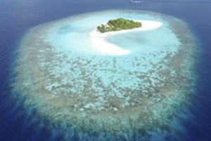 Maldyvuose pradingo 8 mėnesį nėščia lietuvė, vyras už informaciją žada 100 tūkst. atlygį 