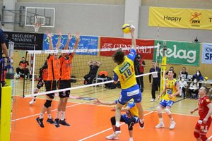 Tinklininkas A. Mišeikis iškovojo Austrijos taurę