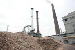 Vietoj atsinaujinančio kuro jau įsigali atliekos: biokuro tiekėjai netenka milijonų