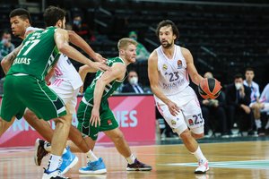 Kauno „Žalgirio“ varžovas – ranka pasiekiamas Madrido „Real“