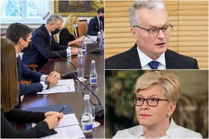 Sostų karuose dėl valdžios ginklanešiais tapo ekspertai: prezidentui pataria – 26, premjerei – 17