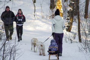 Socialinės apsaugos ir darbo ministerija: išmokas tėvams siūloma skaičiuoti palankiau