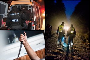 Kaune benamis žvėriškai nužudė jį priglaudusį geradėją – puolė ir kirviu, ir peiliu