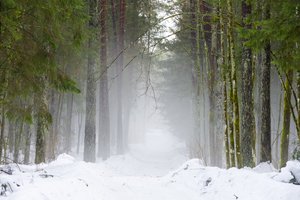 Sinoptikai: po stulbinančios šilumos bangos – orų permainos