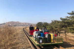 Rusijos diplomatams iš Šiaurės Korėjos teko grįžti stumiant geležinkelio dreziną