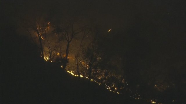Japonijoje penktą dieną tęsiasi miško gaisras – evakuoti dešimtys namų ūkių
