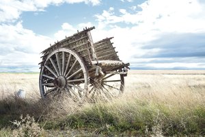 Kaip žmogus išrado ratą? Juk gamtoje nieko tokio nėra