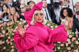 500 tūkst. dolerių pažadėjusi Lady Gaga atgavo savo šunis