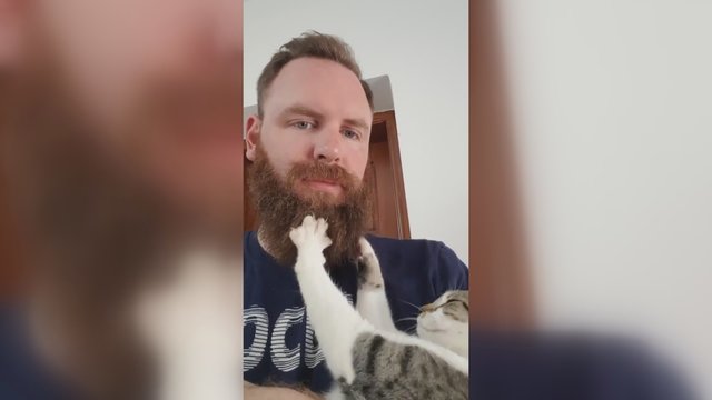 Internetą prajuokino miela katė: tobulos šeimininko barzdos paslaptis – šukavimas letenėlėmis