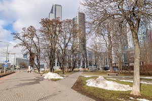 Entuziastai pasisiūlė skverą sostinėje kurti patys – valdininkai rado jam vietą, skirs ir pinigų