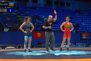 Bronzinė Danutės Domikaitytės tradicija