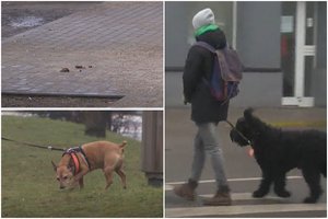 Vaizdai Lietuvos parkuose ir gatvėse kelia šleikštulį: gresia bauda iki 230 eurų ir pavojingos ligos