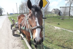 Paprastas išradimas, bet be kurio žmogus taip ir nebūtų išmokęs dirbti žemės