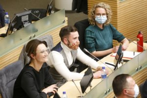 V. Čmilytė-Nielsen peržiūrėjo gautus parašus dėl T. V. Raskevičiaus šalinimo: tai nėra peticija