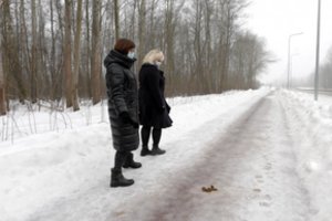 „Užminavo“ kelio vidurį: teko rinktis – bristi į balą ar šuns šeimininko paliktą „dovanėlę“