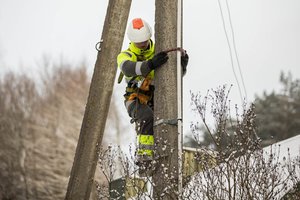 Įspėja, kad trumpam kur nors vis dings elektra – remontuos tinklą