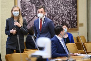 Laisvės frakcijos seniūnė paaiškino, kodėl neskubama su Stambulo konvencija: yra daug sąmokslo teorijų 