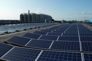 Žemei draugiška Utenos darykla – pavyzdys net tarptautiniu mastu