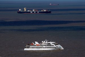 Po galingo žemės drebėjimo – žinia Naujosios Zelandijos gyventojams: gali kilti cunamis