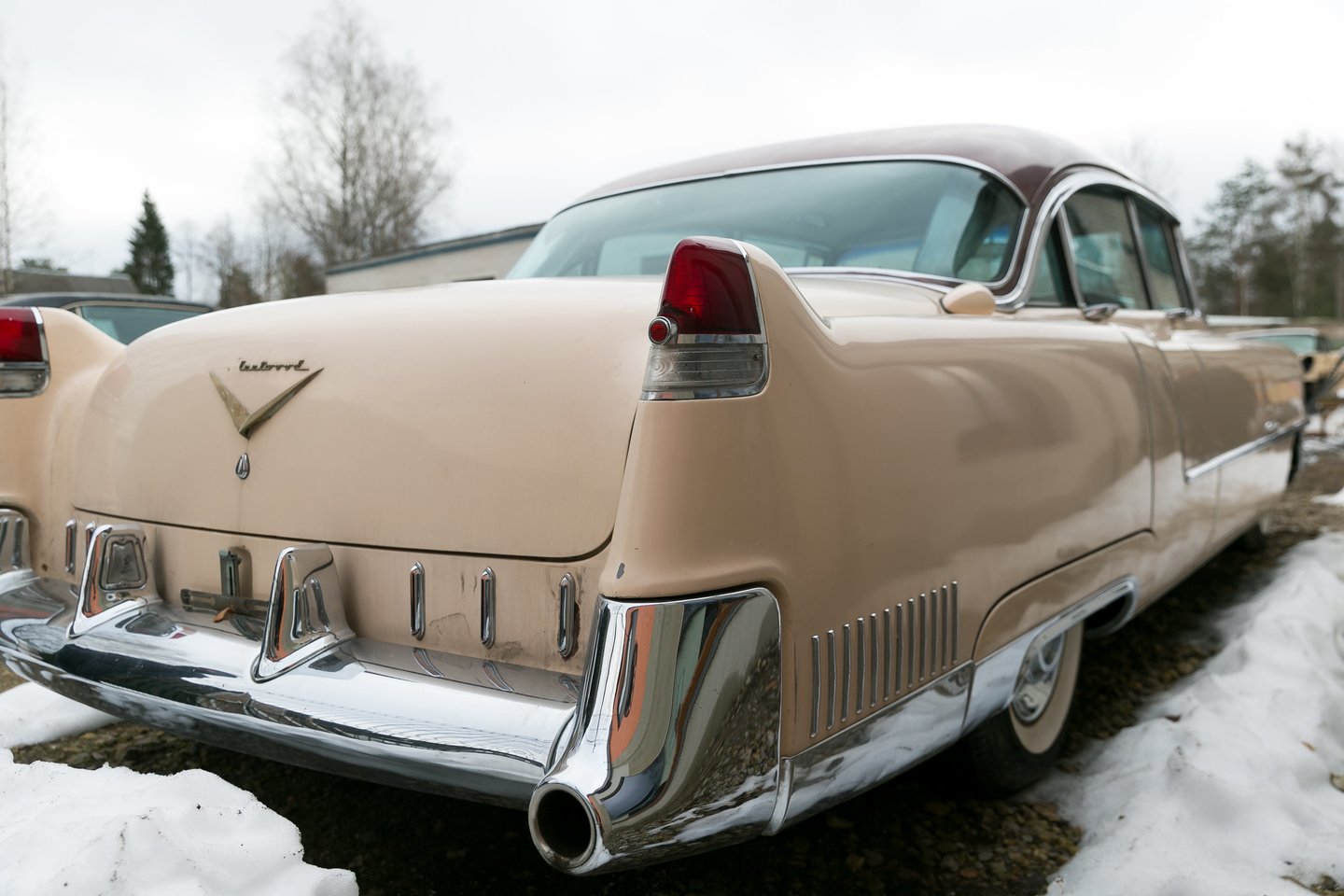 Dainininkas neseniai įsigijo 1955-ųjų „Cadillac Fleetwood 60 Special“.<br>Asmeninio archyvo nuotr.