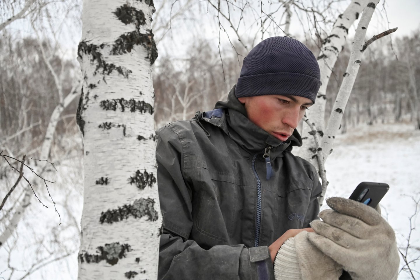  Atokiame Sibiro kaime valdžia pastatė interneto bokštą po to, kai vietinis studentas išpopuliarėjo lipdamas į medį tam, kad galėtų dalyvauti „Zoom“ paskaitose.  <br> Reuters/Scanpix nuotr.