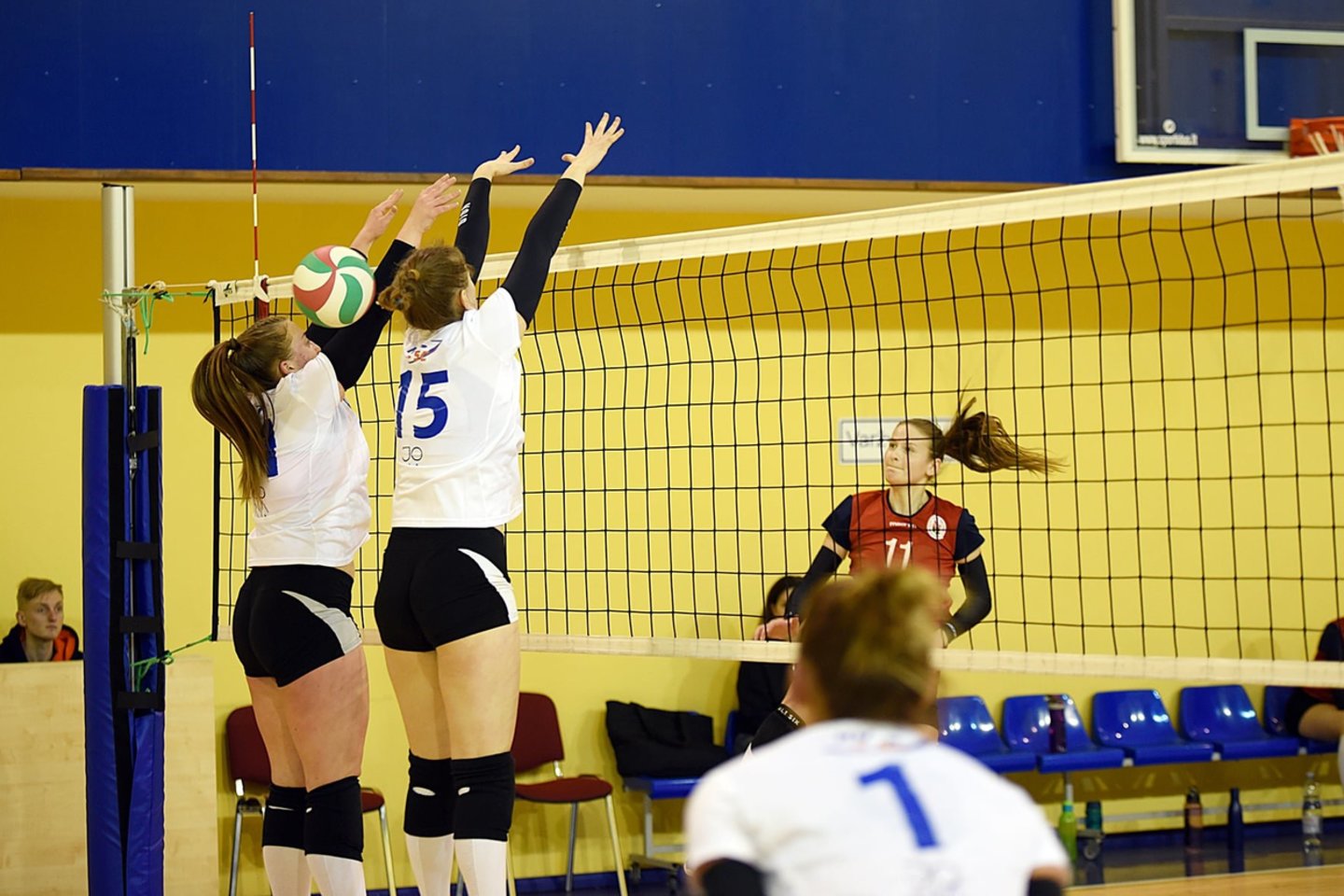 Tikras trileris vyko tarp Vilniaus universiteto (VU) ir Jonavos „Aušrinės-KKSC“ komandų.<br>Arvido Šimulio nuotr.