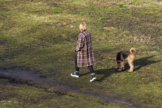 Garfildo posakyje „Ciucikai, kur tavo kultūra“ žodį „ciucikai“ reikia pakeisti į „žmogau“